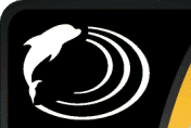 Logo DolphinGames