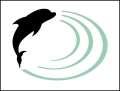 Logo DolphinGames